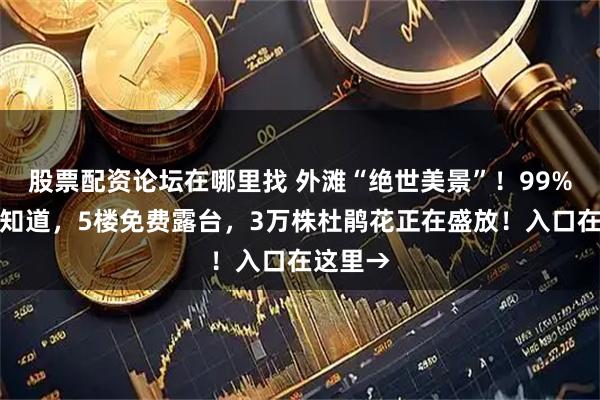 股票配资论坛在哪里找 外滩“绝世美景”！99%的人不知道，5楼免费露台，3万株杜鹃花正在盛放！入口在这里→